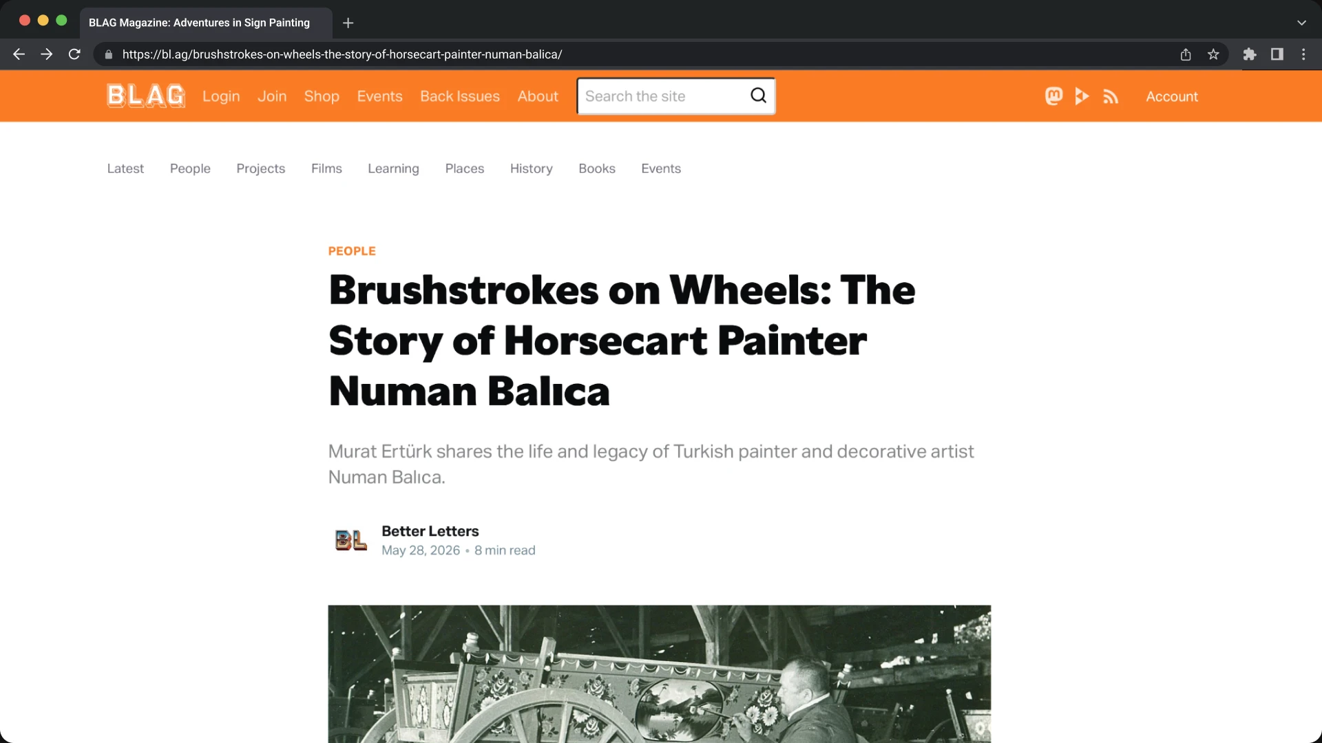 Horsecart painter Numan Balıca at work